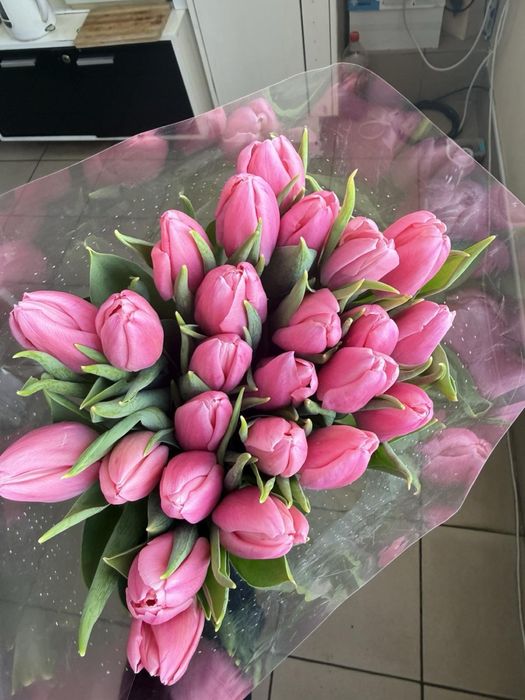 Продажа тюльпана ОПТ/РОЗНИЦА 40 грн