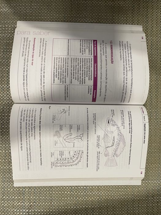 Livro de apoio de Biologia 10 ano