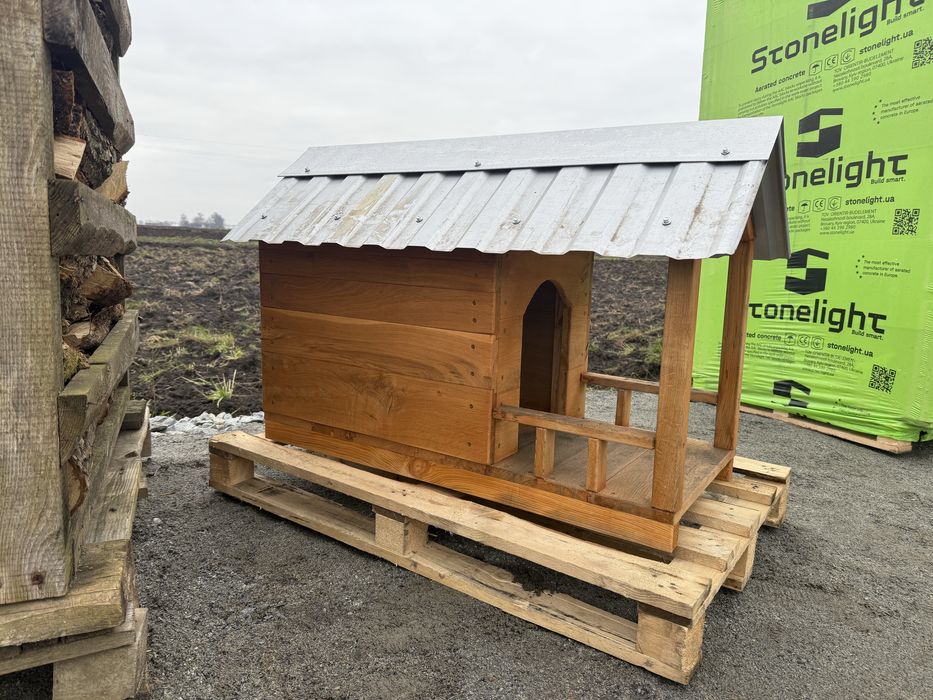 Собача бада нова дуб