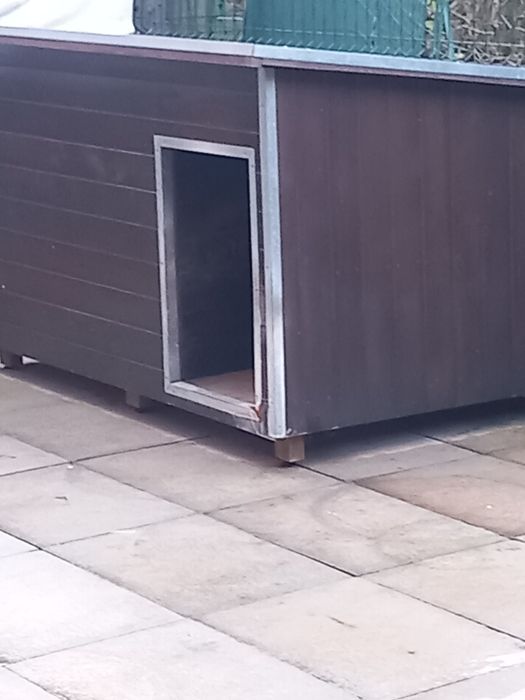 Casota de cão em otimo estado p1