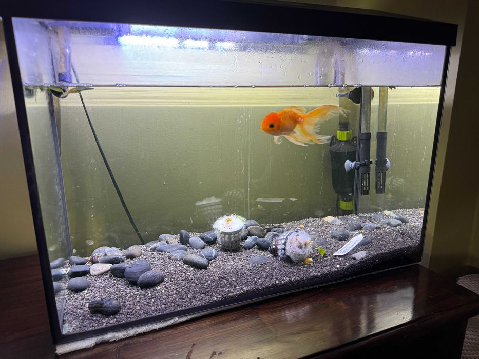 Akwarium AQUAEL Leddy 60 XL 72l Oświetlone