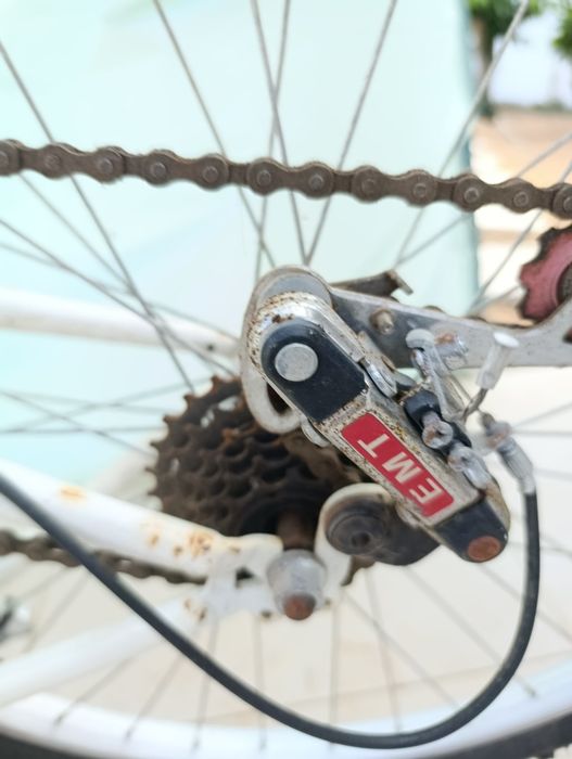 Bicicleta adulto