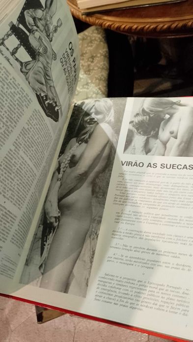 Um Ano com a Gaiola Aberta José Vilhena