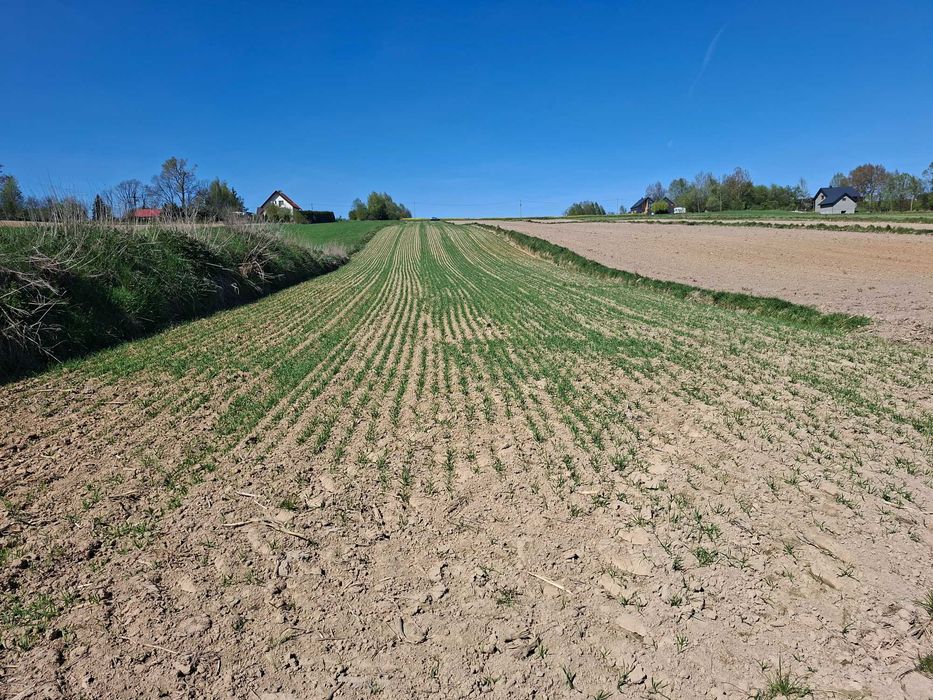 Działka - Skała - Sobiesęki - Podjedle
