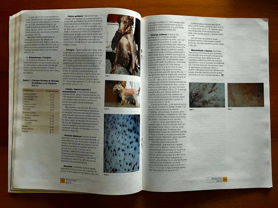 Revista Veterinária Técnica - Ago. 1994