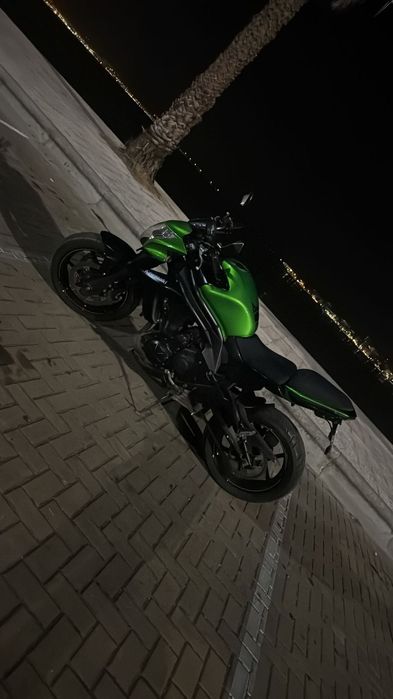 Kawasaki ER