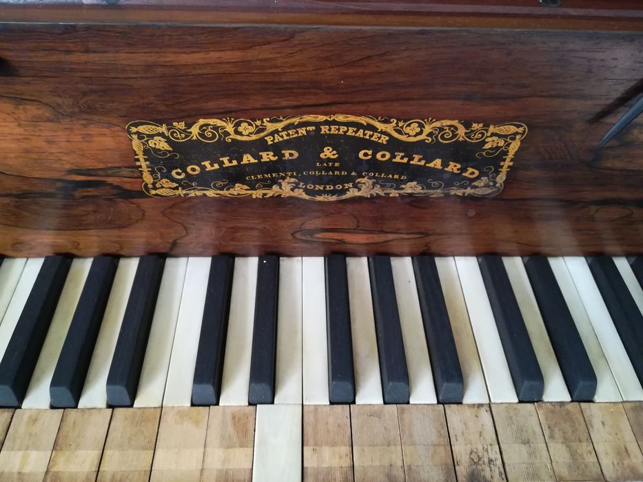 Piano collard e collard