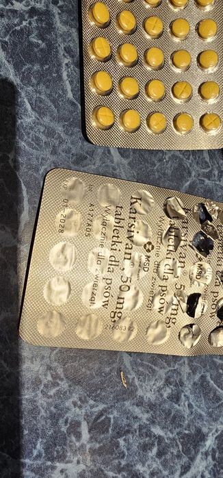 Karsivan 50mg 48 tabletek