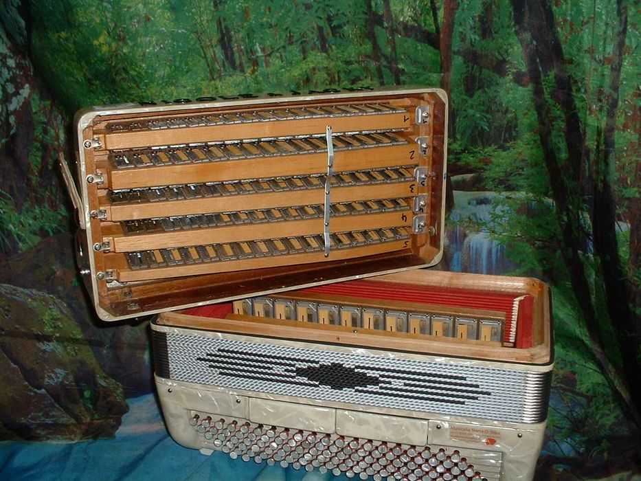 Acordeao Avenda G .742