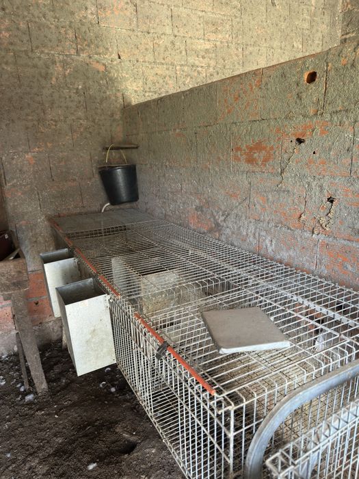 Coelheiras ( 240€ Preço Total)