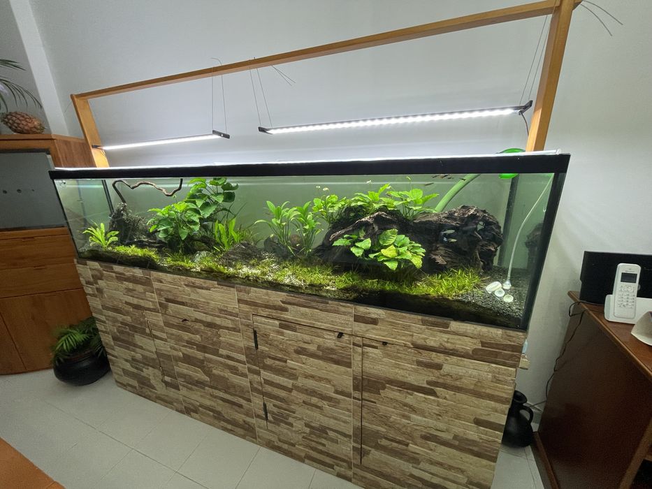 Aquário de água quente