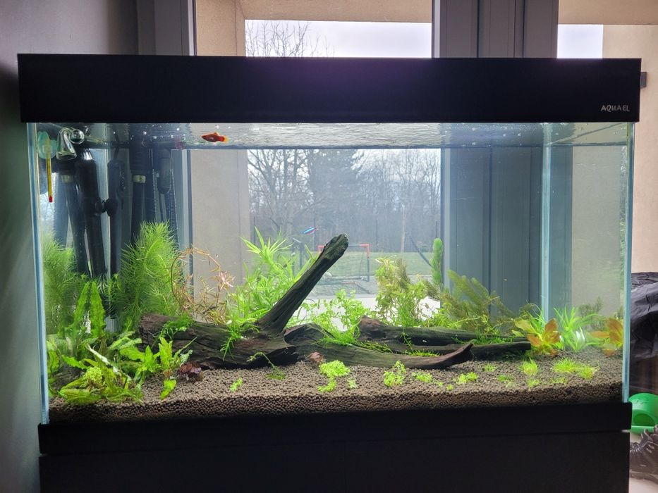 Akwarium optiwhite 125 litrów Opti Set 125