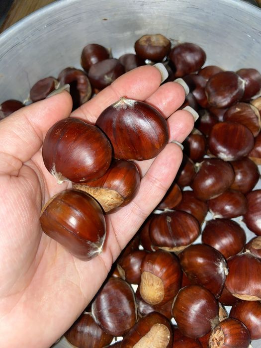 Vendo castanhas de qualidade