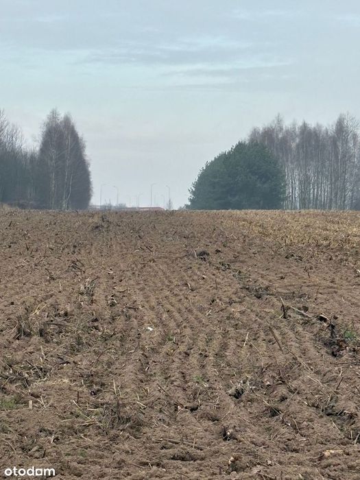 Działka rolno - inwestycyjna  23100 m2  z możliwością zabudowy