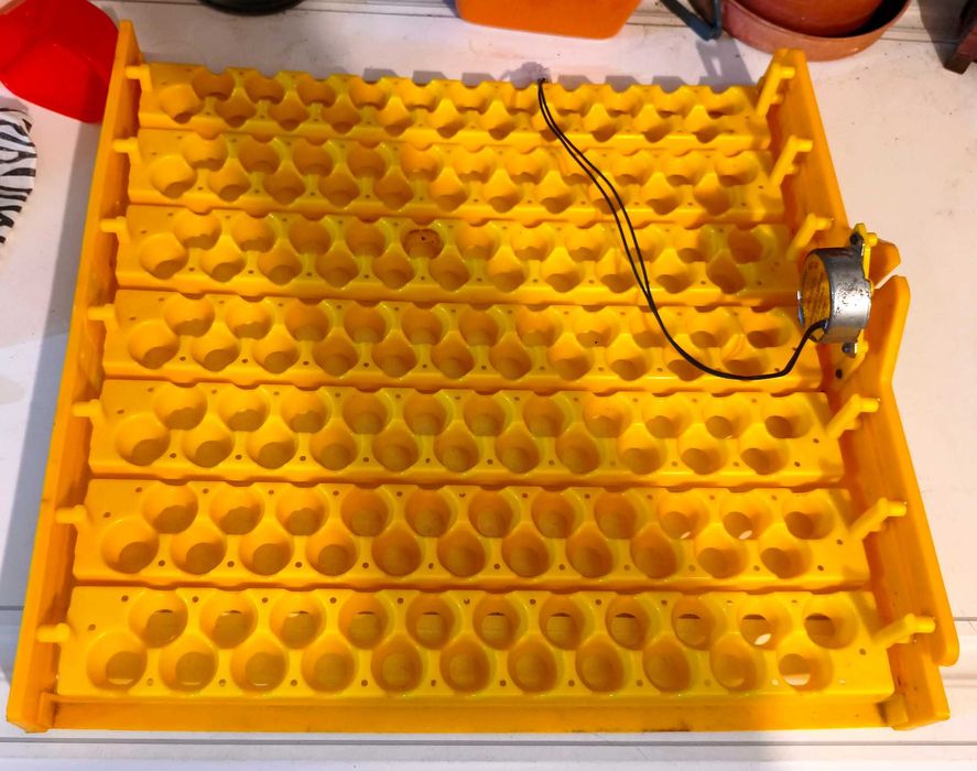 Tabuleiro para chocadeira modelo wq48 (154 ovos de codorniz)