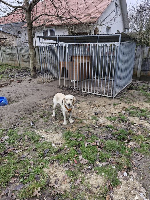 Sprzedam kojec dla psa