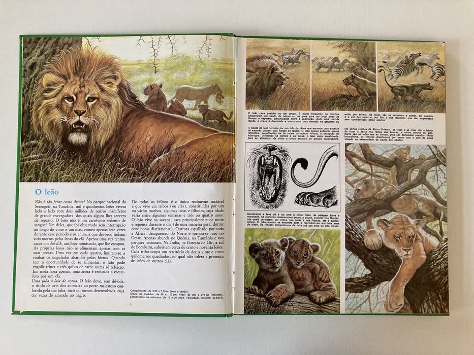 Livro A Vida Secreta dos Animais (Anos 80)