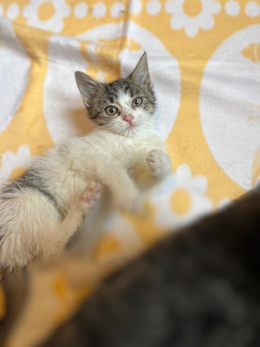 Kochana Patoka czeka tutaj na Ciebie !