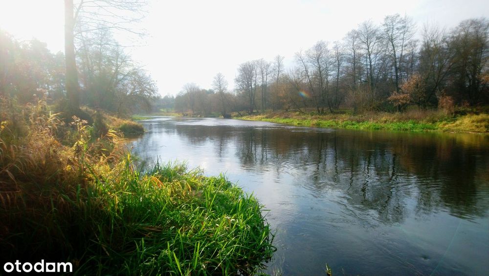 Sprzedam działkę 4828m2 nad Wkrą z prawem zabudowy domem mieszkalnym.