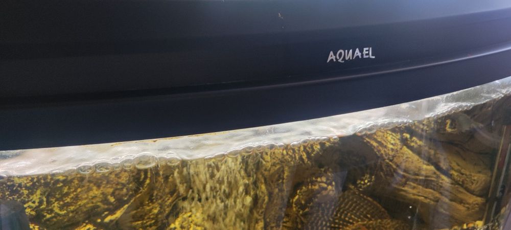 Akwarium panoramiczne z pełnym wyposażeniem