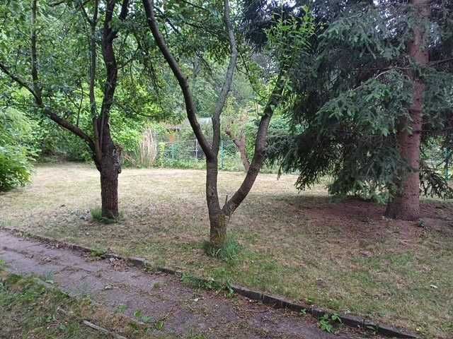 Wymarzona działka ROD Dworzec Gdański 400m² | Woda | Metro 5 min | Arkadia | Historia od 1935 r.
