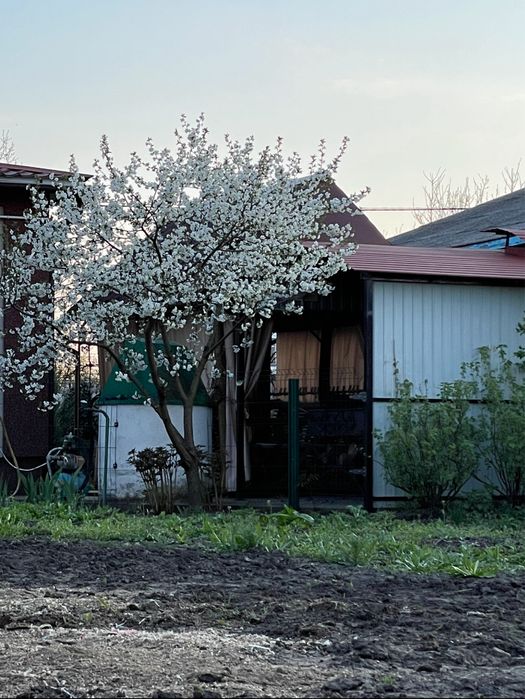 Продається будинок смт.Попільня