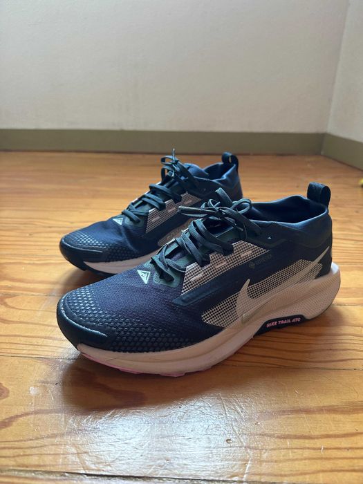 Nike Pegasus Trail 5 Gore-Tex