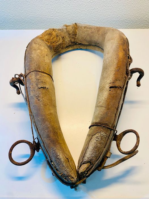 Molim muito antigo para burro