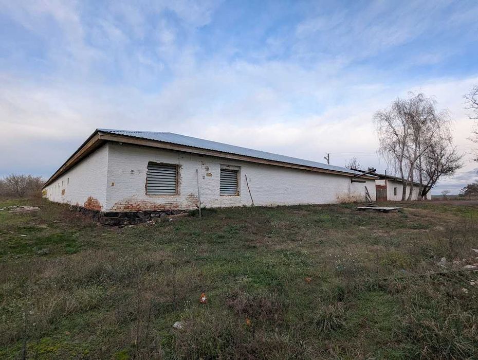 Продаж рентабельної птахоферми поблизу Городище. Кури як бізнес