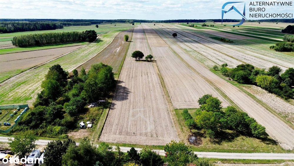 Działka 1587 m²|Głuszczyzna|13 km do centrum