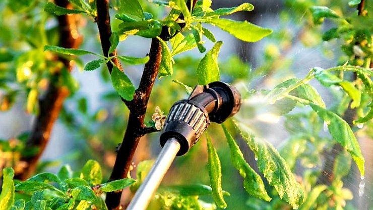 Обслуговування ділянок. СПИЛЮВАННЯ дерев. СКОШУВАННЯ трави тощо.