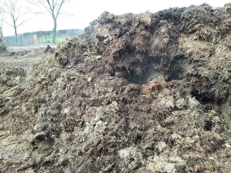 obornik bydlęcy pomiot kurzy