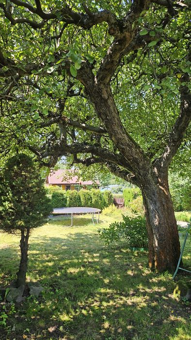 Ogródek Działkowy ROD Wapieniczanka - Widok 2