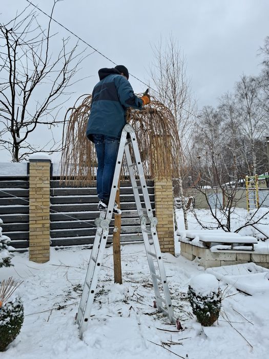 Профессиональная обрезка сада!