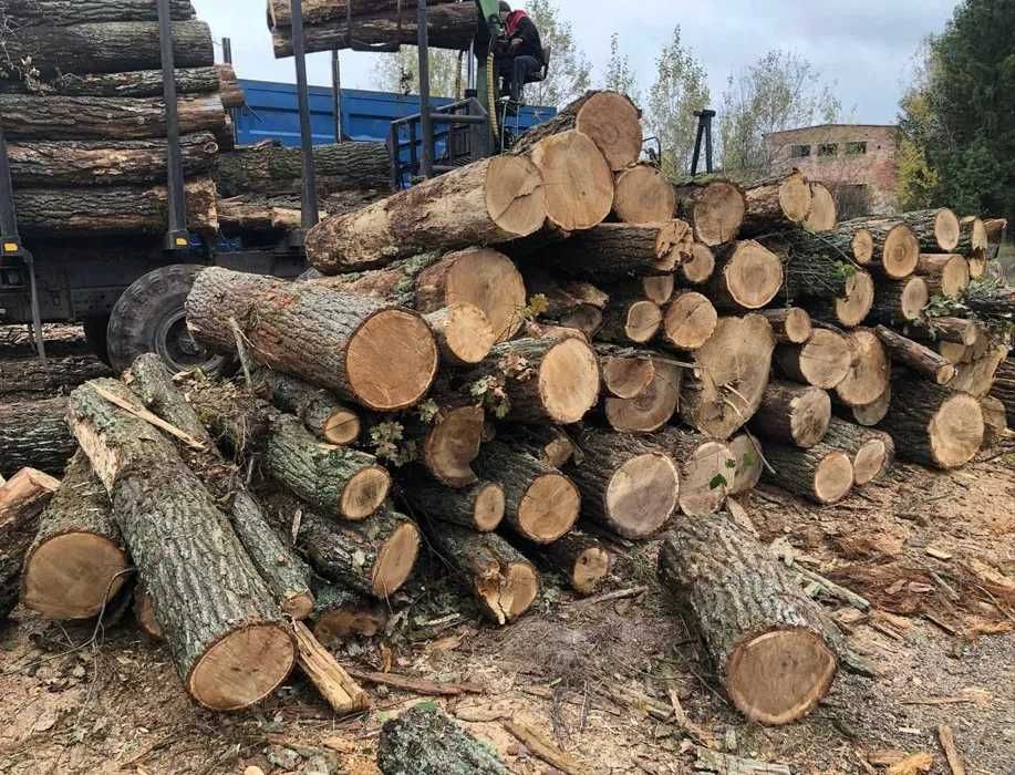 Доставка дров. Пляні та рубані. Різні породи деревни. Опт та роздріб.