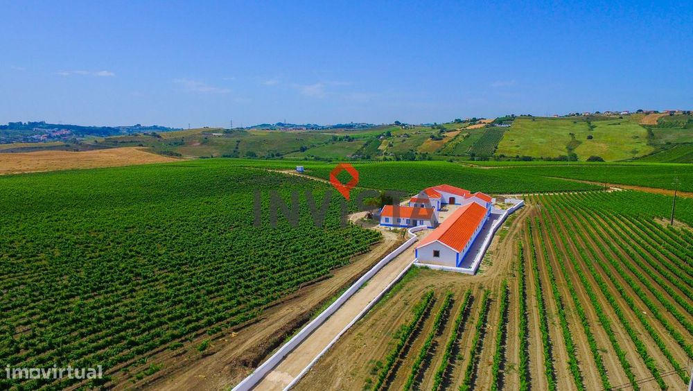 Quinta Vitivinícola com 36 hectares.