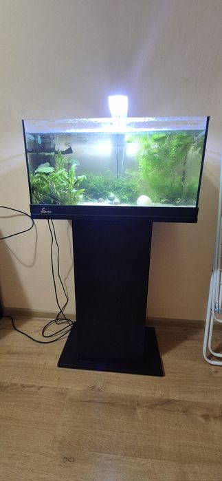 Akwarium Diversa 60 l z szafka i wyposażeniem