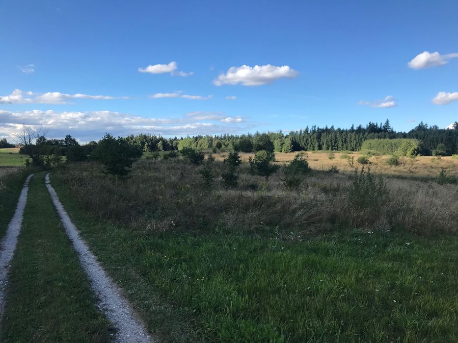 Dzialka rolno-budowlana Kramarzewo Gmina Jeziorany - Widok 3