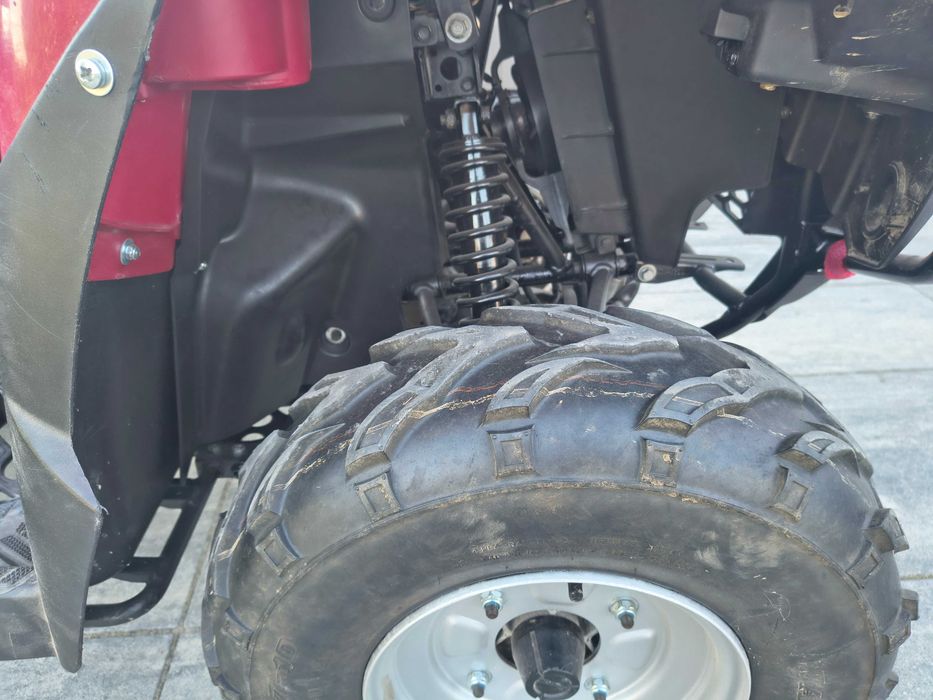 Kawaski KVF 300 Brute Force