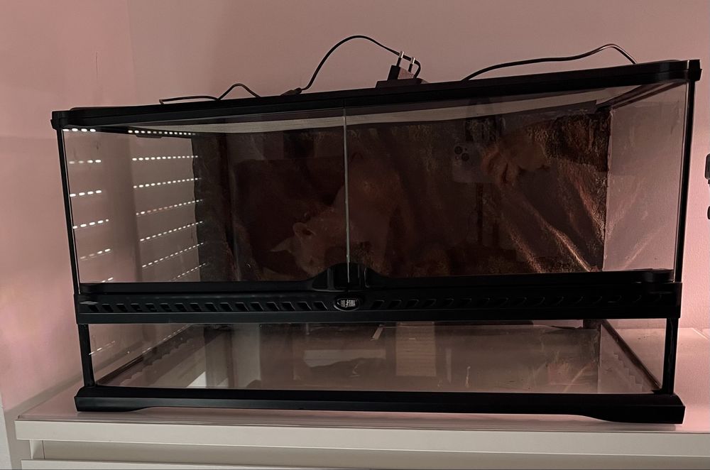 Terrário Exo Terra 60×45×30 cm