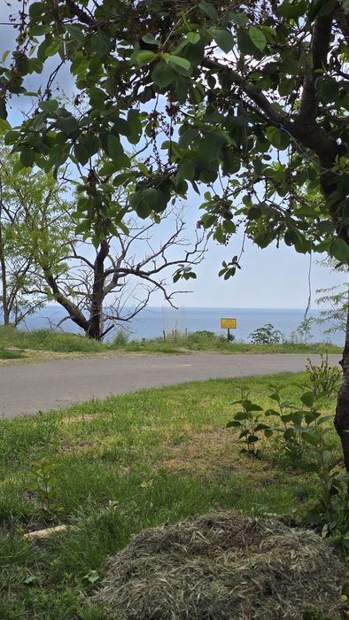 Дом с видом на море. Фонтанка