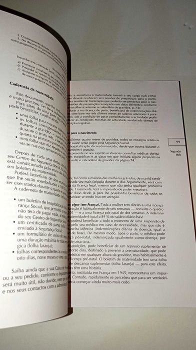 Guia Prático Gravidez