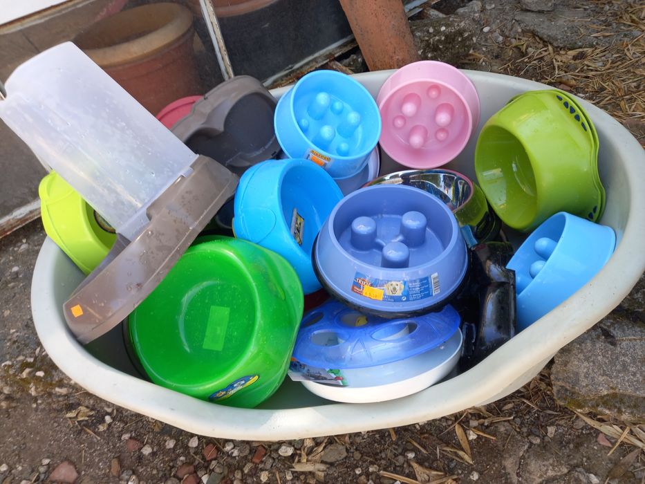 DESOCUPAR ( LER a descrição)Acessórios de animais