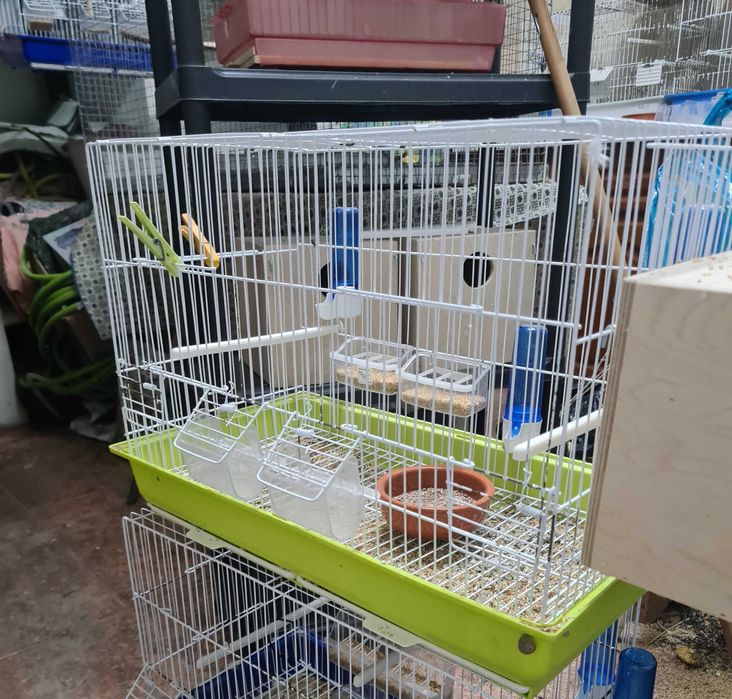 Gaiola viveiro duplo