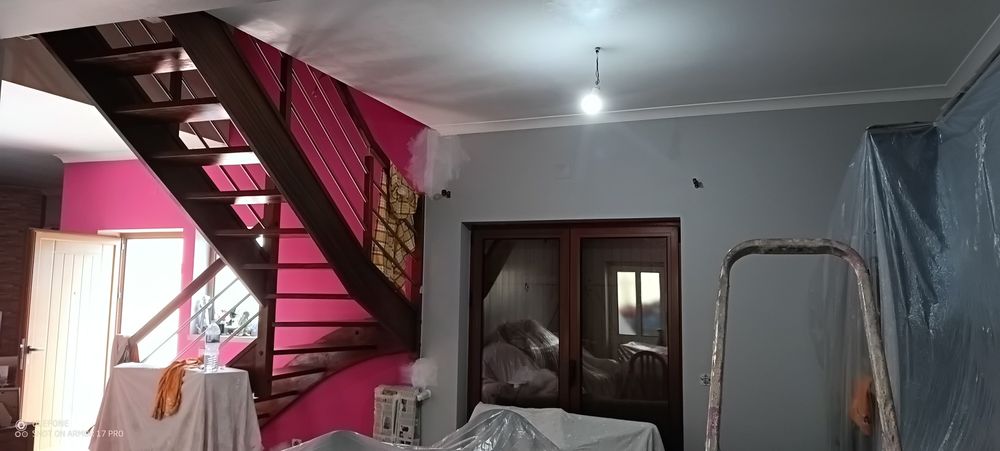 Pintor profissional422068335999068162