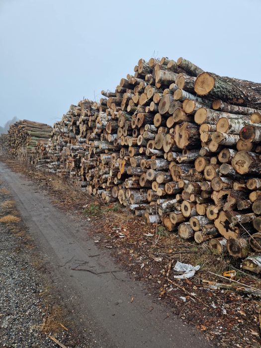 Drewno Kominkowe /Opałowe