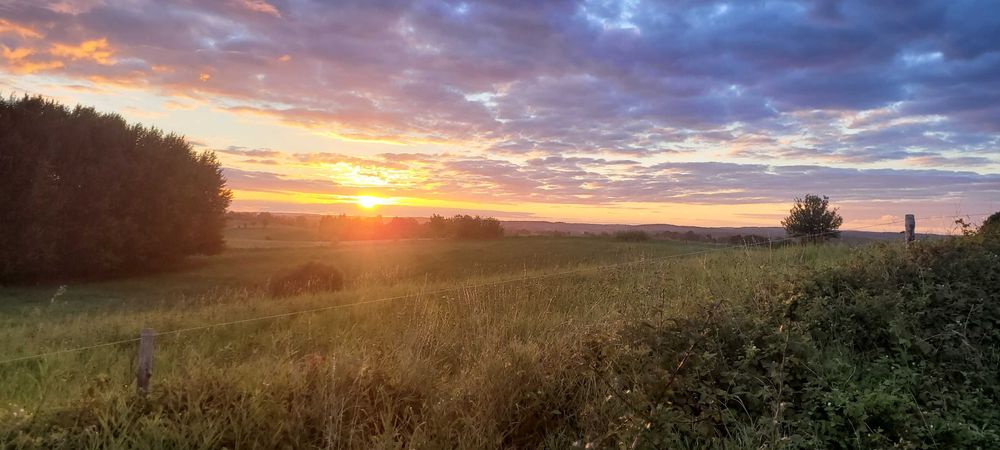 Domek letniskowy na wynajem