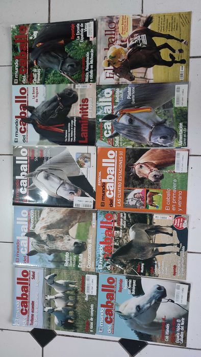 Lote 30 Revistas El Mundo de Caballo