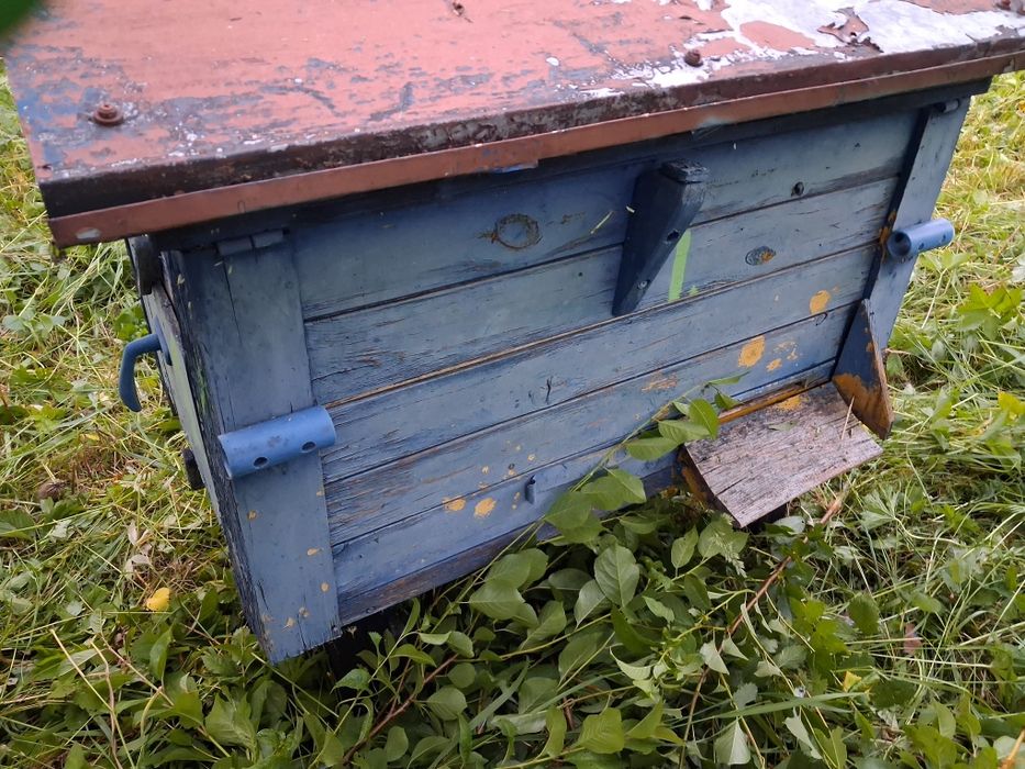 Ule wielkopolskie leżaki 18 ramkowe