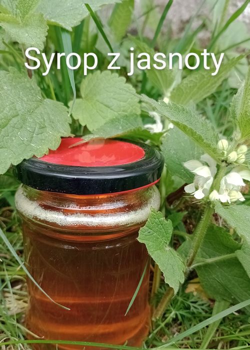 Domowe syropy   / przetwory na odporność